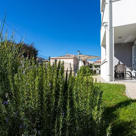 Apartman Crnekovic Tomislava 8 *